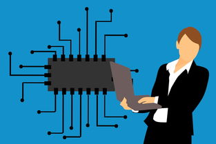 科技与生活的融合，探索小报内容的创新之路  第1张