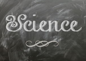 高科技时代的英语教育,机遇与挑战 第1张 高科技时代的英语教育,机遇与挑战 第1张