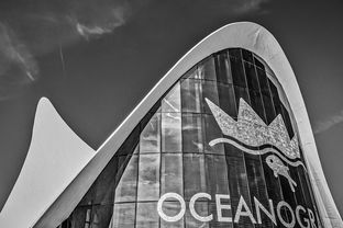 探索未来,科技资讯APP最新版本下载官网全解析 第1张 探索未来,科技资讯APP最新版本下载官网全解析 第1张