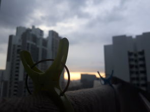 科技改变生活，初中生的视角  第1张