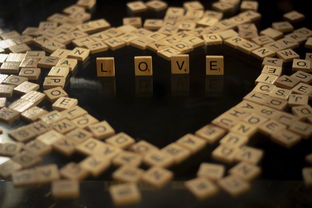 科技生活，300字的奇妙旅程  第1张