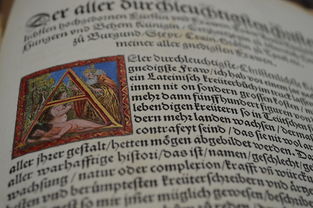 河南科技大学英语语言文学考研，探索学术之路  第1张