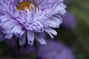 科技，编织美好生活的织锦  第1张