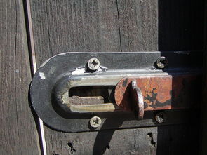 前置过滤器,家庭用水安全的第一道防线 第1张 前置过滤器,家庭用水安全的第一道防线 第1张