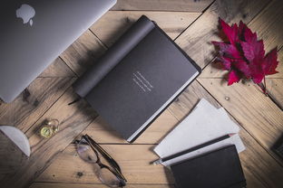 科技画创作指南，如何撰写一篇引人入胜的创作说明